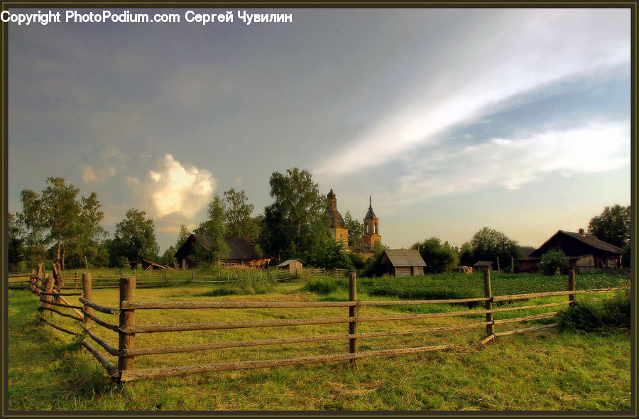Field, Grass, Grassland, Land, Outdoors, Plant, Tree
