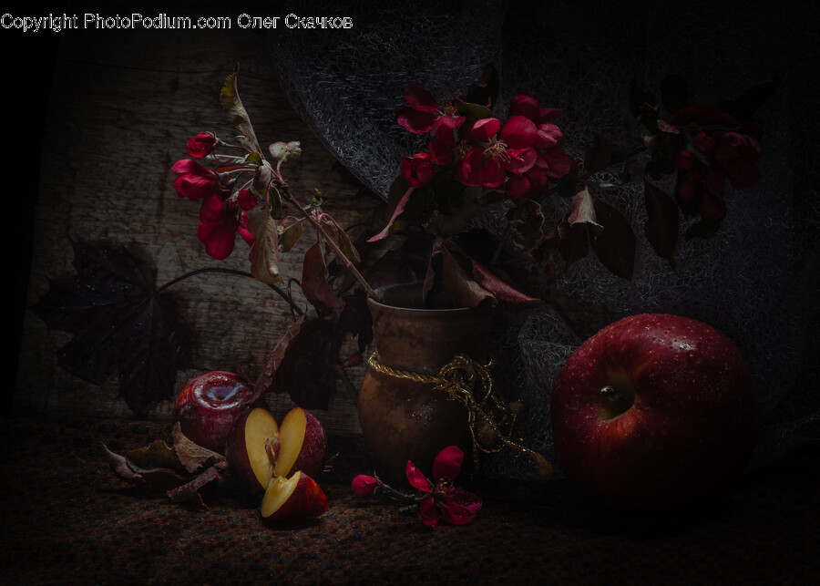 Apple, Food, Fruit, Plant, Produce