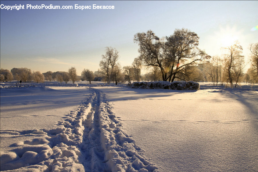 Ice, Outdoors, Snow, Landscape, Nature, Scenery, Plant