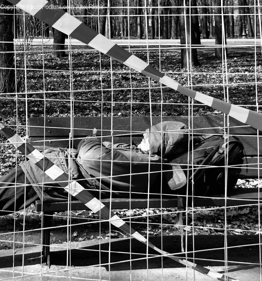 Fence, Adult, Male, Man, Person