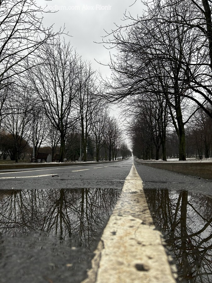 Water, Bench, Furniture, Road, Puddle
