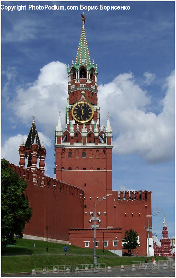 Plant, Potted Plant, Architecture, Bell Tower, Clock Tower, Tower, Cathedral
