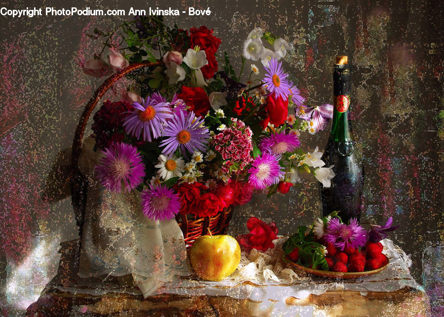 Plant, Potted Plant, Cosmos, Floral Design, Flower, Flower Arrangement, Flower Bouquet