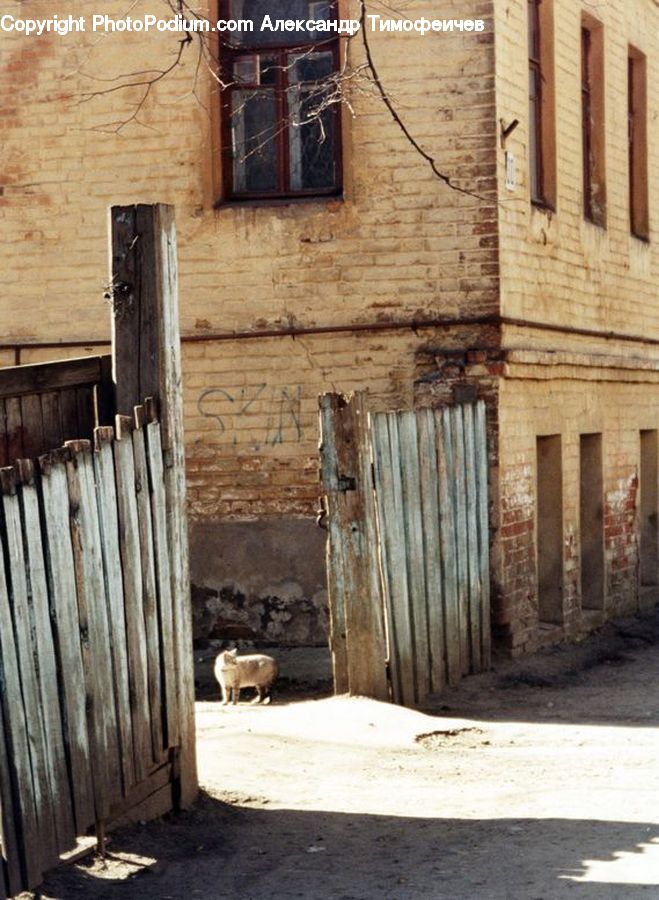 Brick, Window, Alley, Alleyway, Road, Street, Town