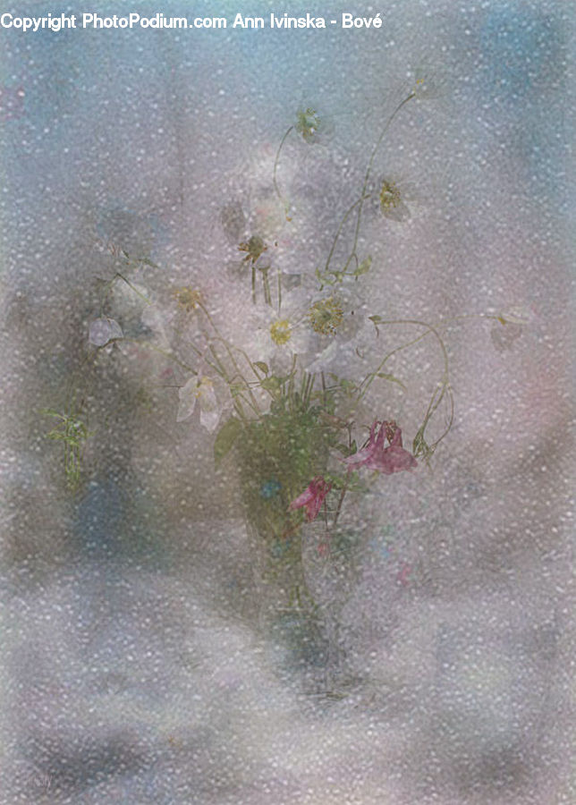 Blossom, Cherry Blossom, Flower, Algae, Flora, Plant, Moss