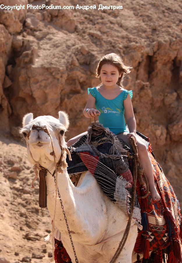 People, Person, Human, Animal, Camel, Mammal, Alpaca