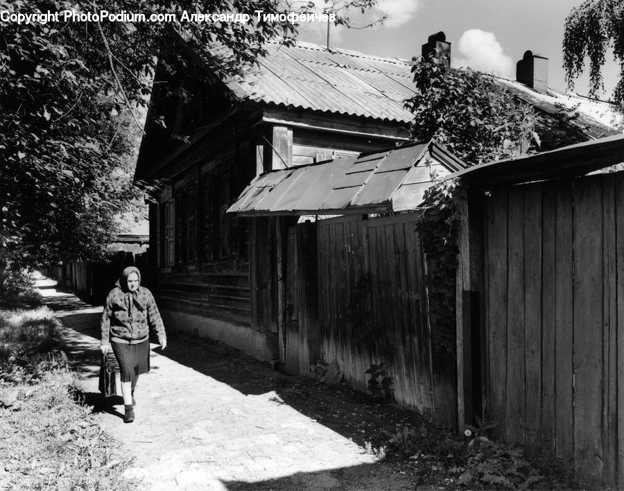 Human, People, Person, Plant, Potted Plant, Alley, Alleyway