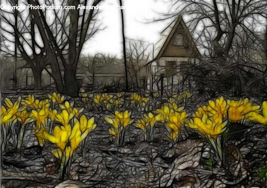 Art, Graffiti, Mural, Wall, Blossom, Daffodil, Flora