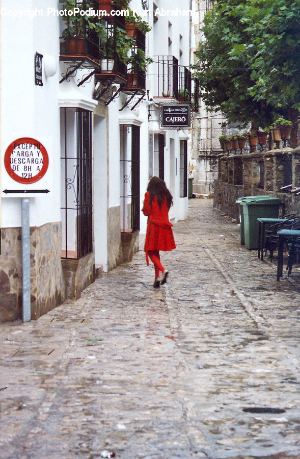 People, Person, Human, Plant, Potted Plant, Cobblestone, Pavement