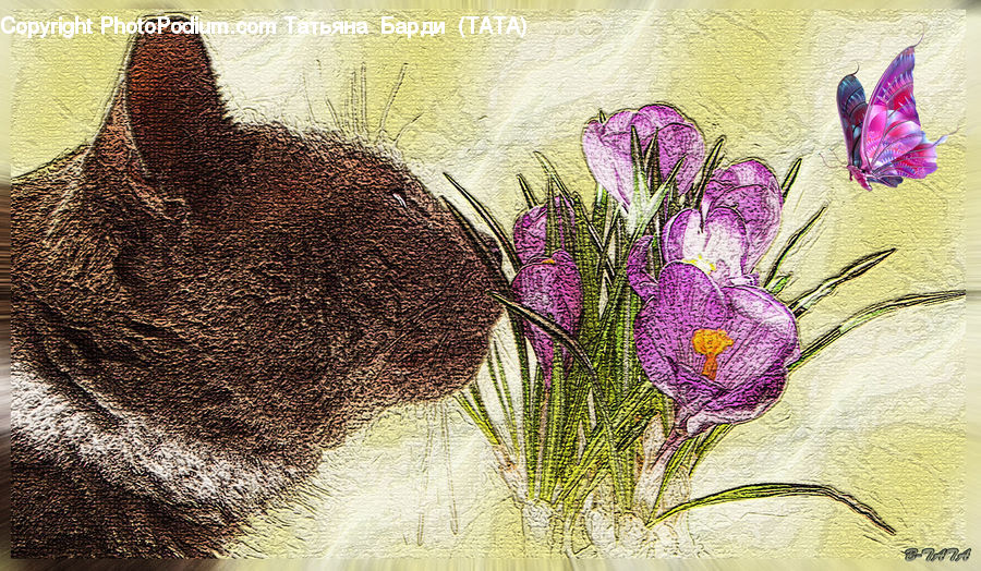 Embroidery, Blossom, Crocus, Flora, Flower, Plant, Cushion