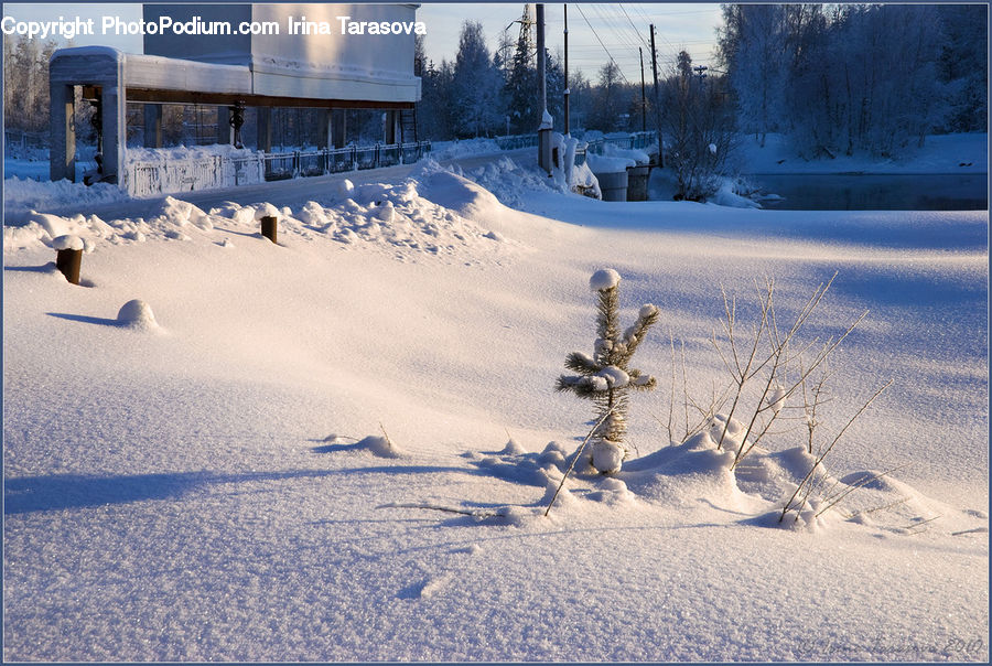 Ice, Outdoors, Snow, Forest, Vegetation, Sand, Soil
