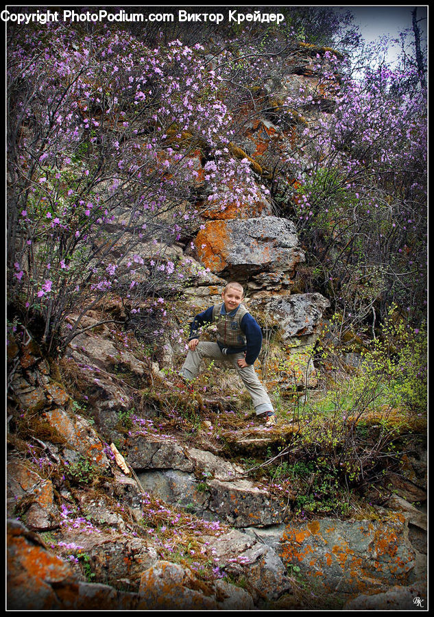 Adventure, Climbing, Outdoors, Sport, Blossom, Flora, Flower