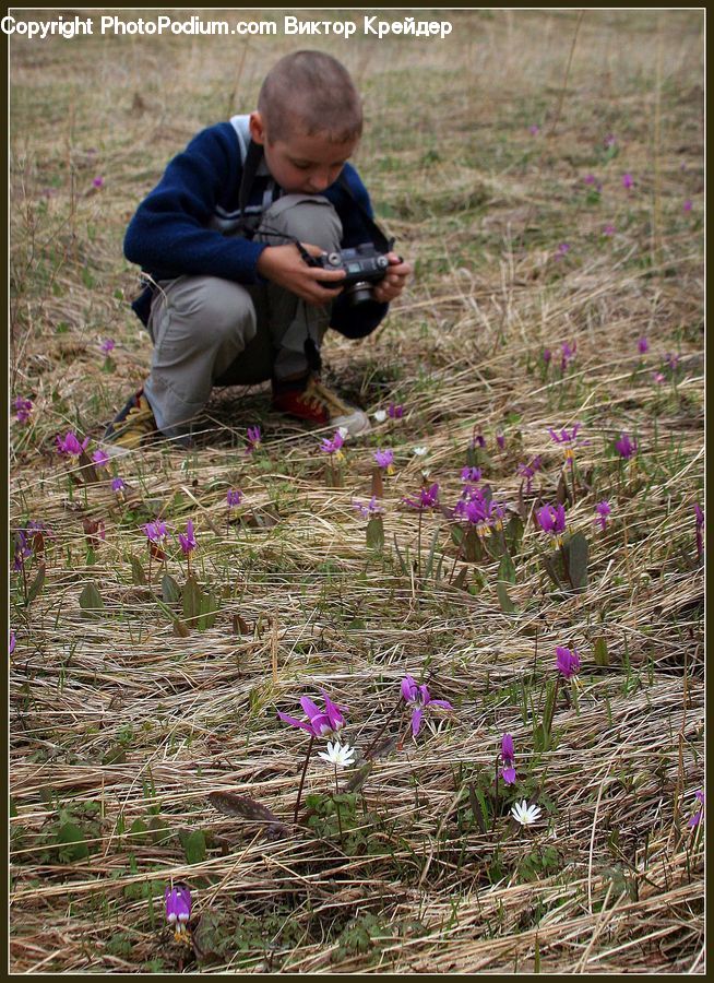 Human, People, Person, Planting, Outdoors, Leisure Activities, Soil