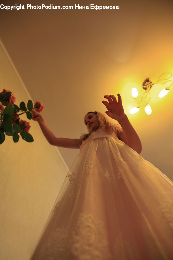 People, Person, Human, Plant, Potted Plant, Robe, Evening Dress
