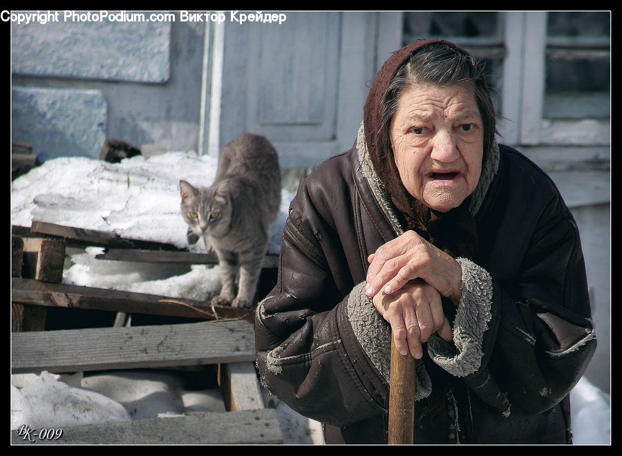 Human, People, Person, Animal, Cat, Kitten, Mammal