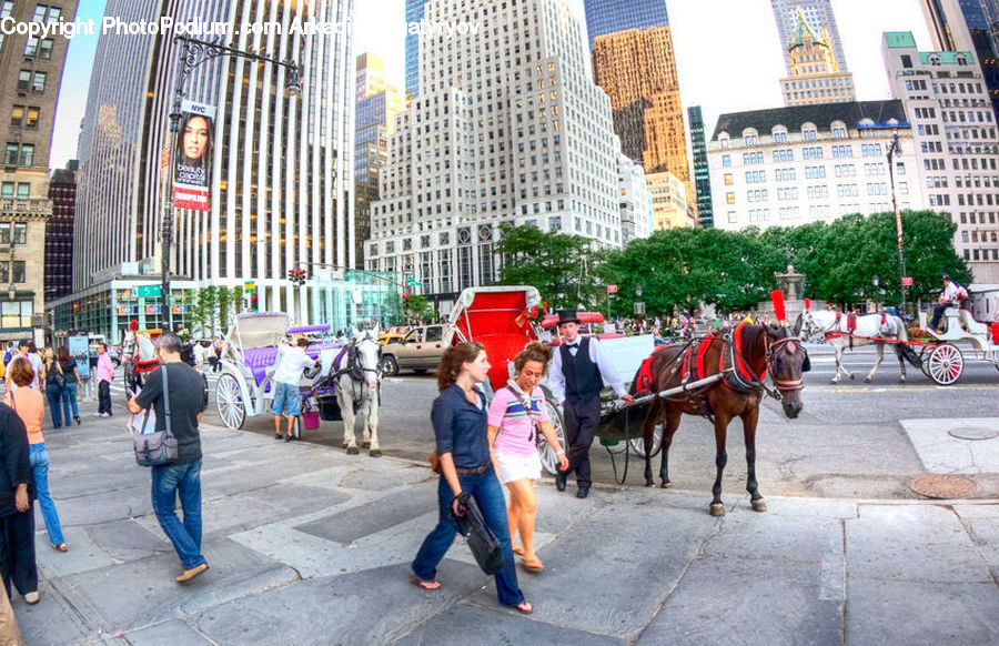 People, Person, Human, Animal, Horse, Mammal, Building