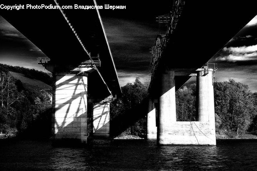 Bridge, Plant, Tree, Potted Plant, Dock, Pier, Landing
