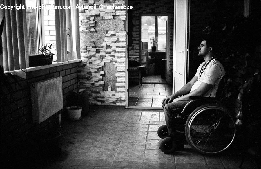 Wheelchair, Plant, Potted Plant, Bench, Brick, Cobblestone, Pavement