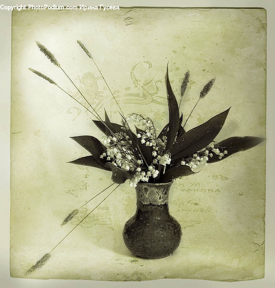 Jar, Porcelain, Vase, Plant, Potted Plant, Flower Arrangement, Ikebana