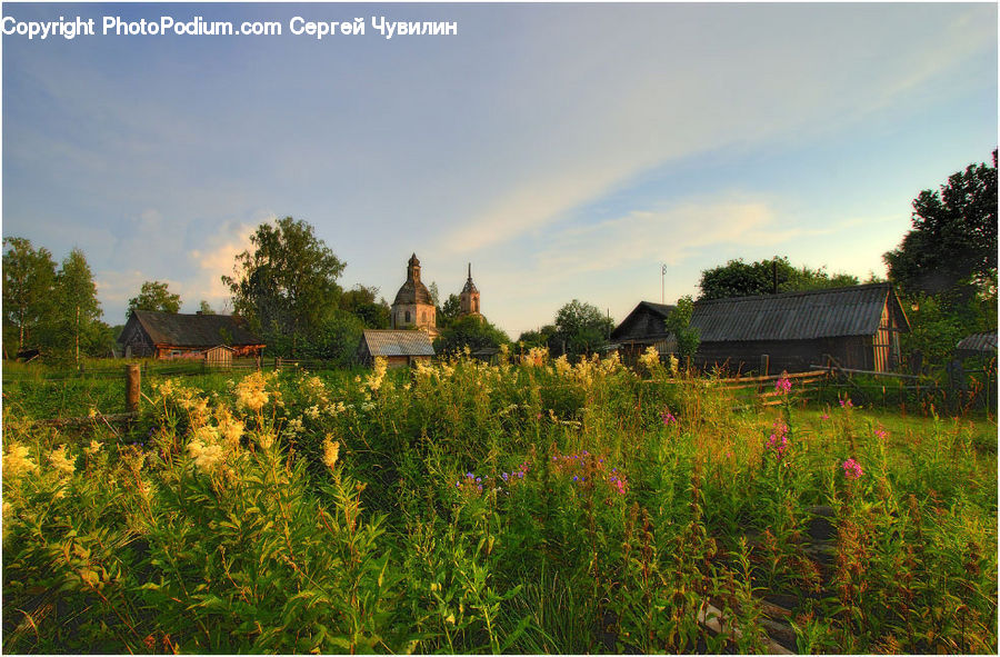 Field, Grass, Grassland, Land, Outdoors, Architecture, Church