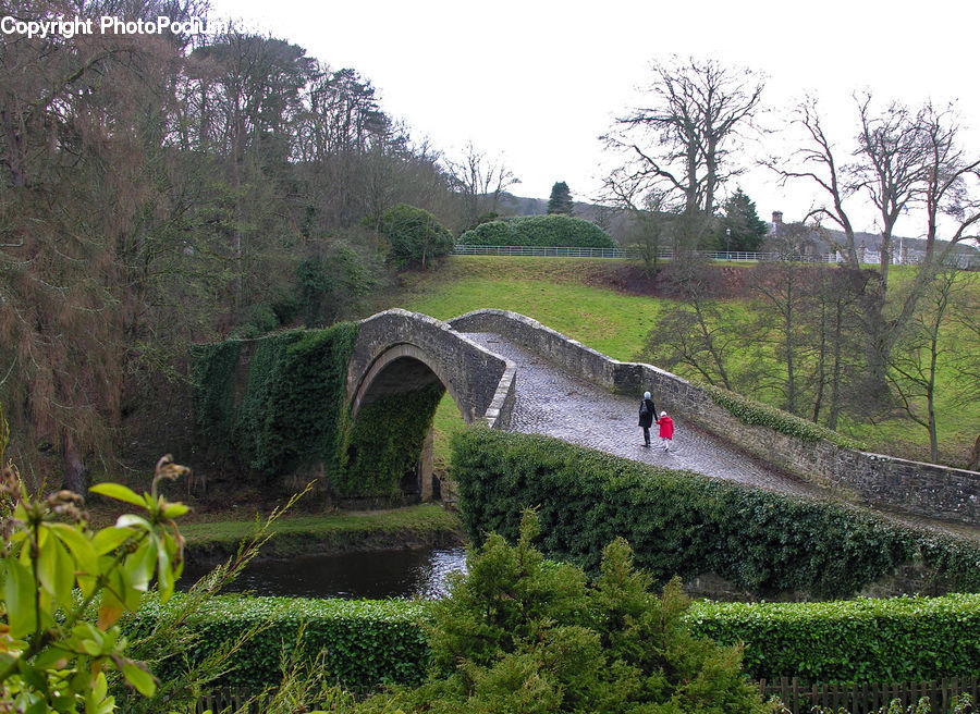 Canal, Outdoors, River, Water, Plant, Tree, Arch