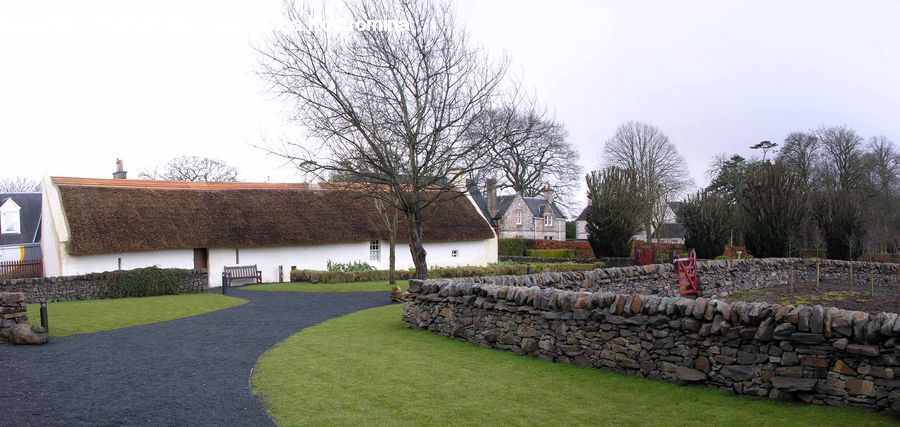 Fence, Hedge, Plant, Building, Cottage, Housing, Conifer