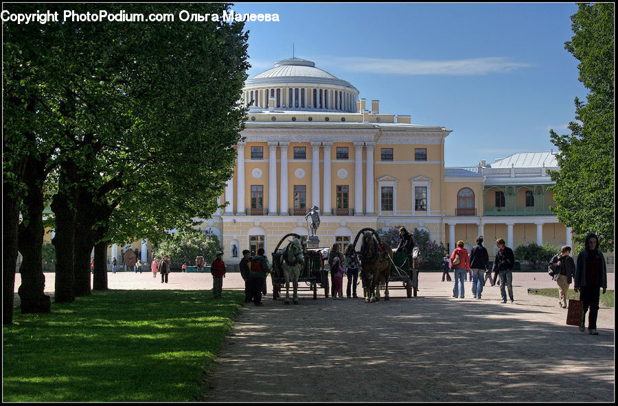 Animal, Horse, Mammal, Campus, Building, Housing, Villa