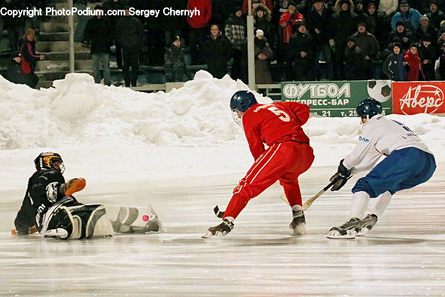 People, Person, Human, Ice Hockey, Rink, Arena, Hockey