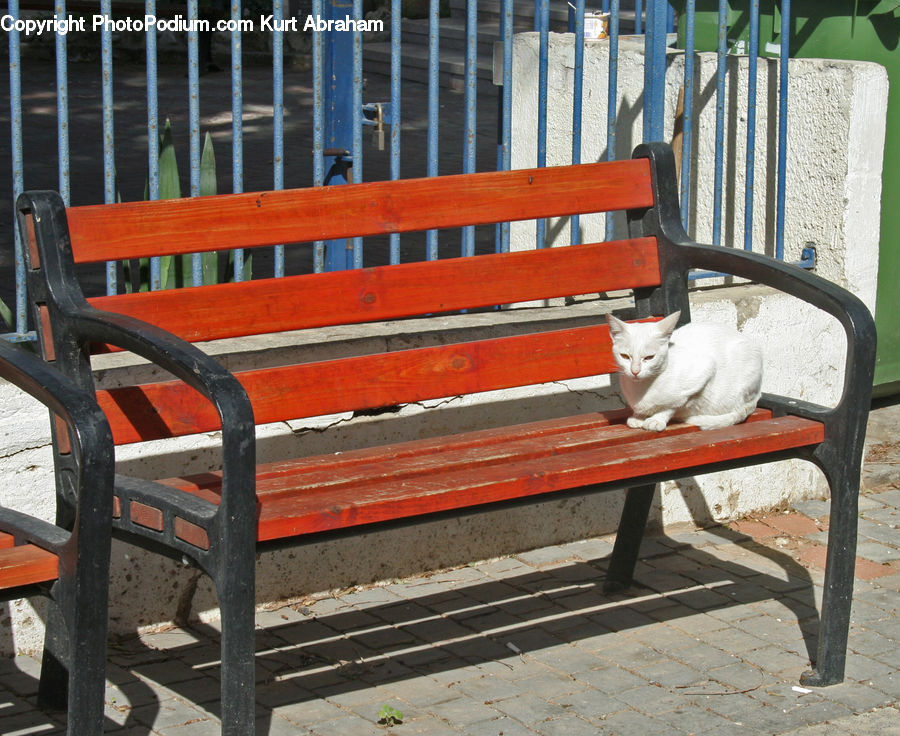 Park Bench, Bench, Chair, Furniture