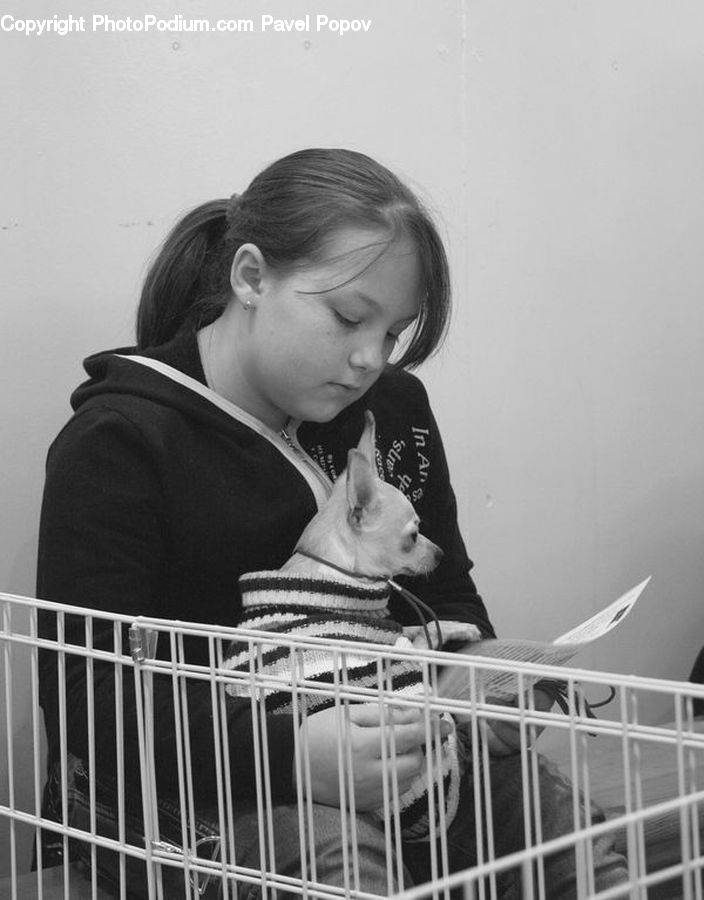 People, Person, Human, Prison, Bird, Parakeet, Parrot