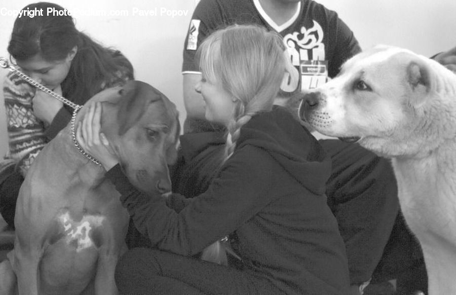 People, Person, Human, Animal, Boxer, Bulldog, Canine