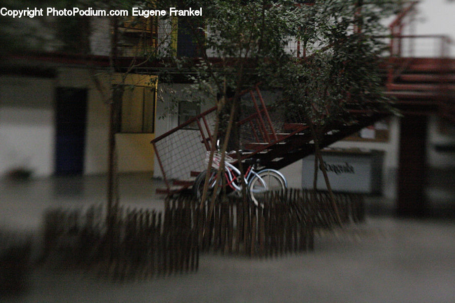 Bicycle, Bike, Vehicle, Wiring, Conifer, Plant, Tree