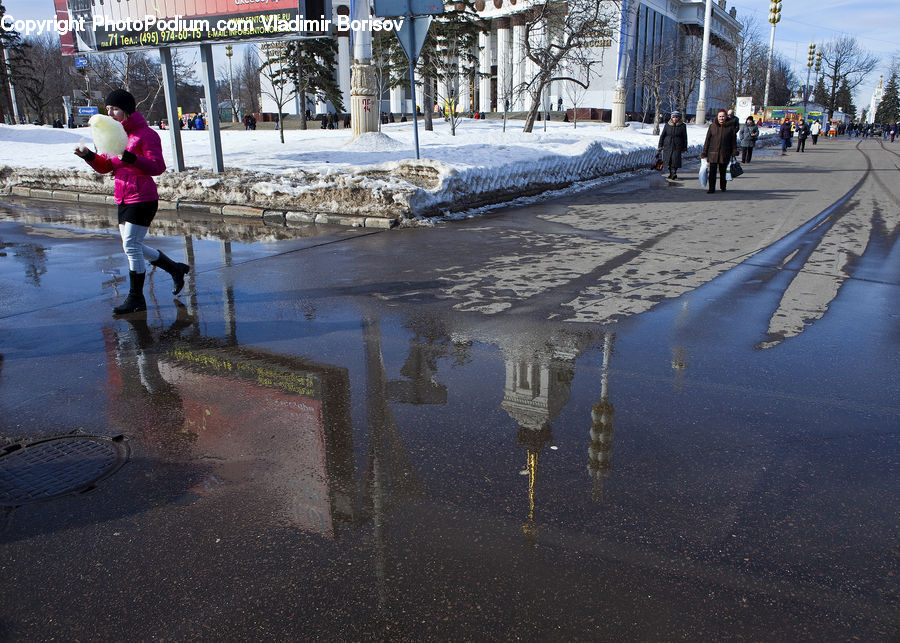 People, Person, Human, Puddle, Baby, Child, Kid
