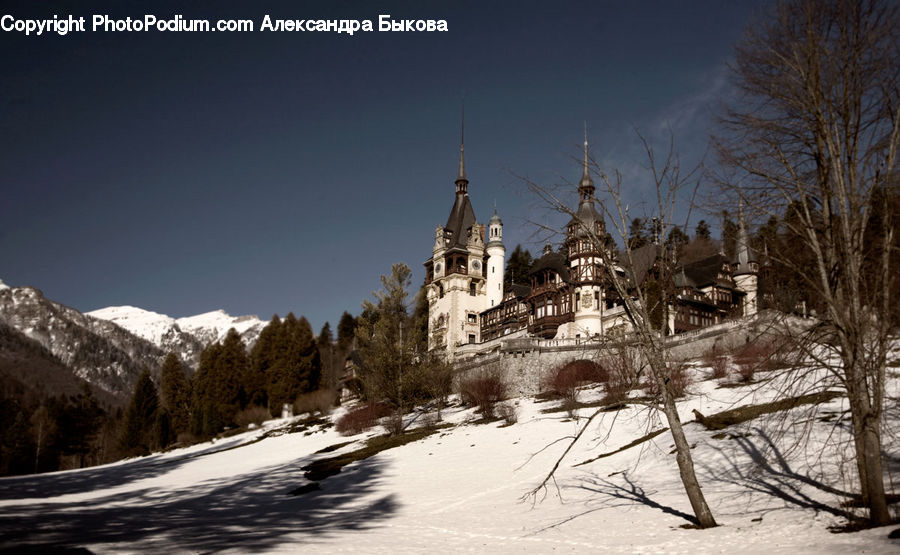 Architecture, Castle, Fort, Mansion, Church, Worship, Housing