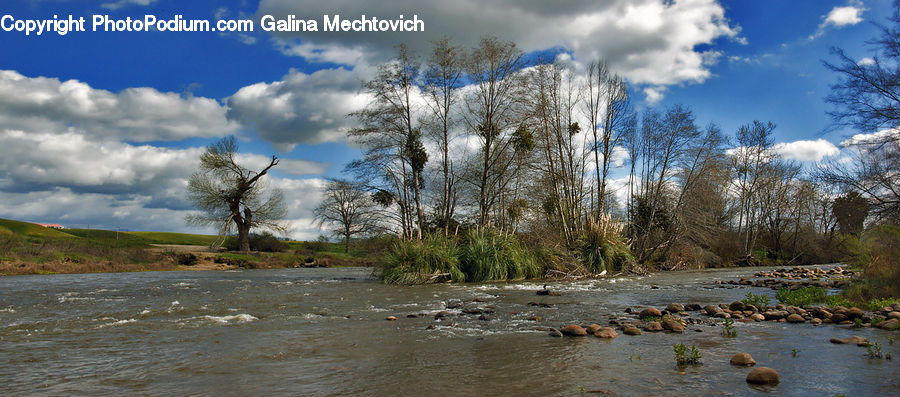 Creek, Outdoors, River, Water, Basin, Land, Marsh