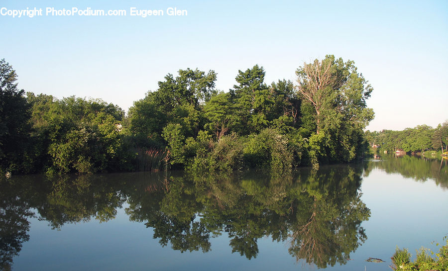 Outdoors, Pond, Water, Conifer, Fir, Plant, Tree