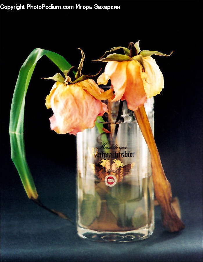 Produce, Vegetable, Flower Arrangement, Ikebana, Plant, Potted Plant, Vase