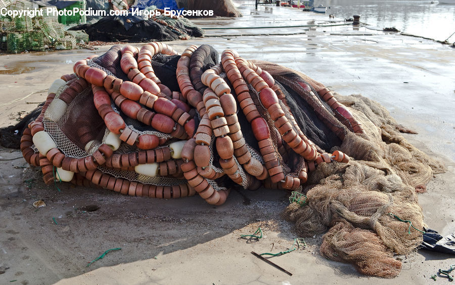 Bazaar, Market, Food, Seafood