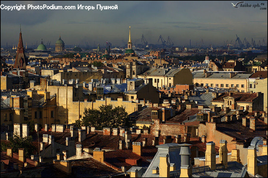 Plant, Potted Plant, City, Downtown, Aerial View, Building, Metropolis