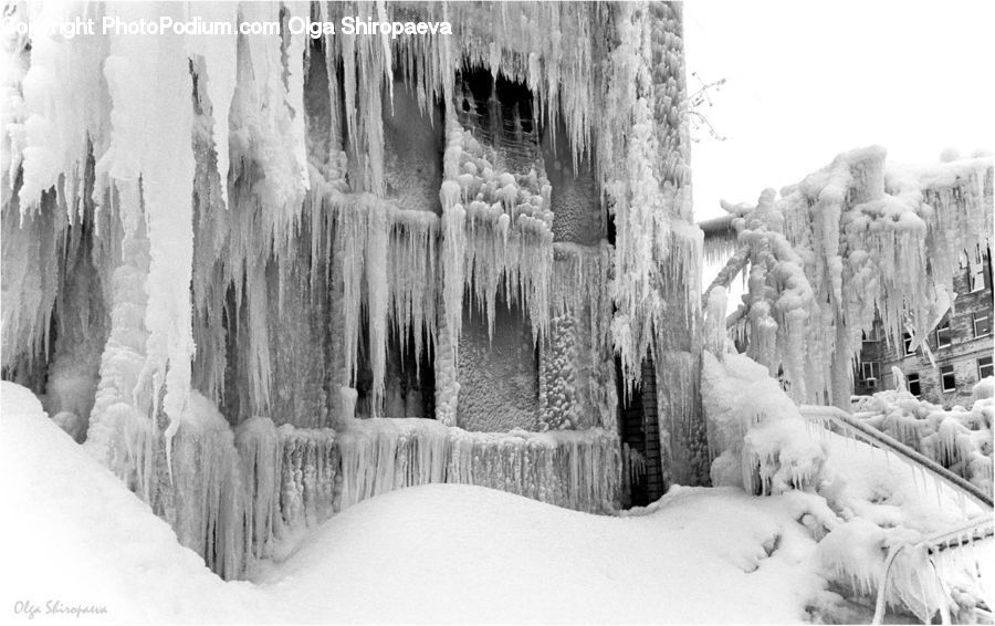 Ice, Outdoors, Snow, Fir, Forest, Grove, Vegetation