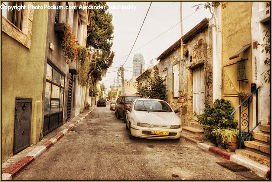 Plant, Potted Plant, Automobile, Car, Vehicle, Balcony, Alley