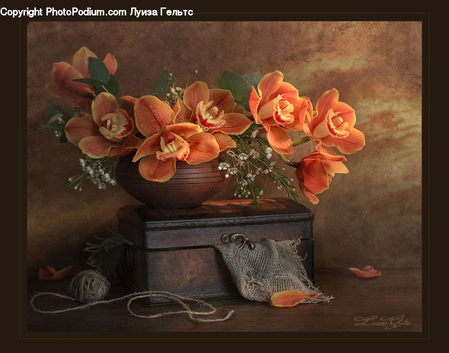 Plant, Potted Plant, Flower, Flower Arrangement, Flower Bouquet, Floral Design, Ikebana