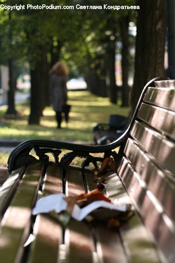 Park Bench, Bench, Campus, Leisure Activities