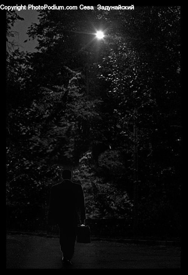 Silhouette, Human, Night, Outdoors, Lighting, Cloak, Plant