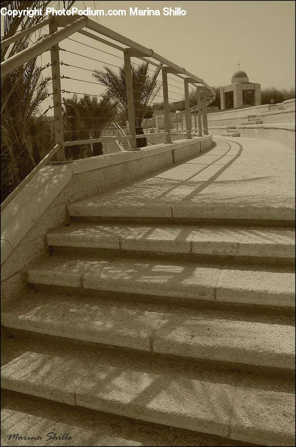 Plant, Potted Plant, Boardwalk, Deck, Path, Sidewalk, Walkway