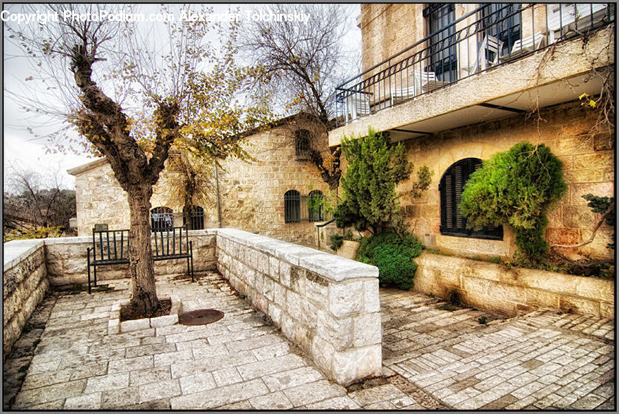 Plant, Potted Plant, Ruins, Cobblestone, Pavement, Walkway, Patio