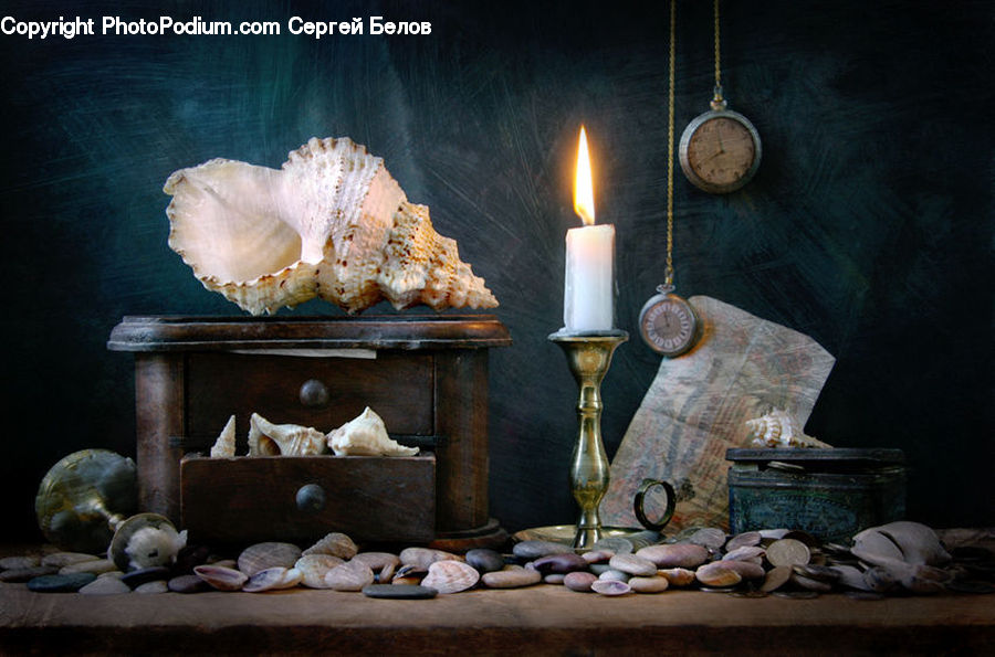 Candle, Furniture, Garlic, Plant, Dining Room, Indoors, Room