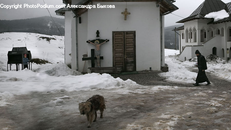 People, Person, Human, Cross, Crucifix, Animal, Canine