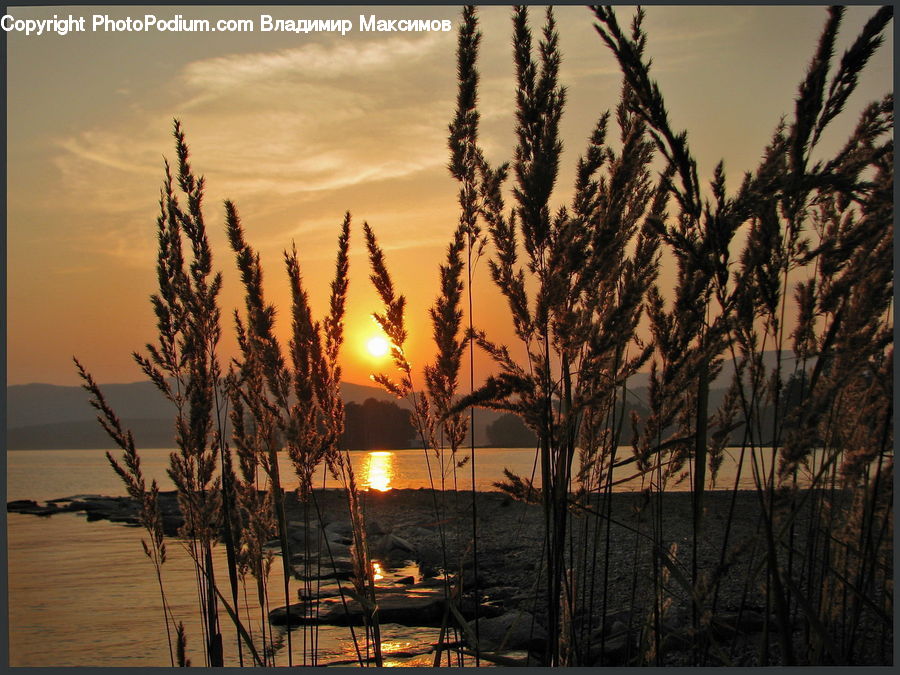 Dusk, Outdoors, Sky, Sunlight, Sunrise, Sunset, Dawn