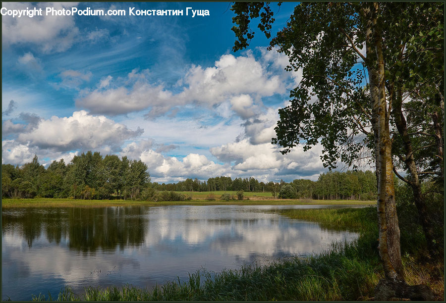 Cloud, Cumulus, Sky, Lake, Outdoors, Water, Blossom